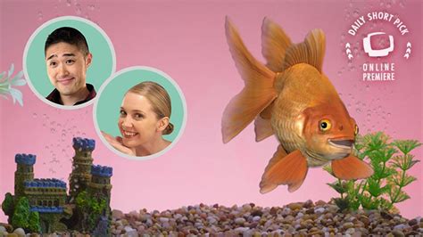 alpha fish|Alpha Fish (Short 2018) .